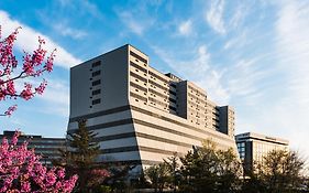 Apa Hotel Woodbridge